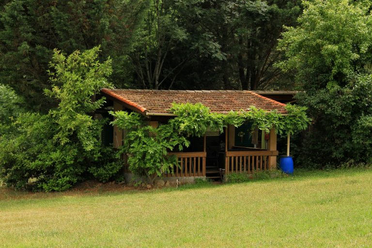 mobil home vintage en pleine nature